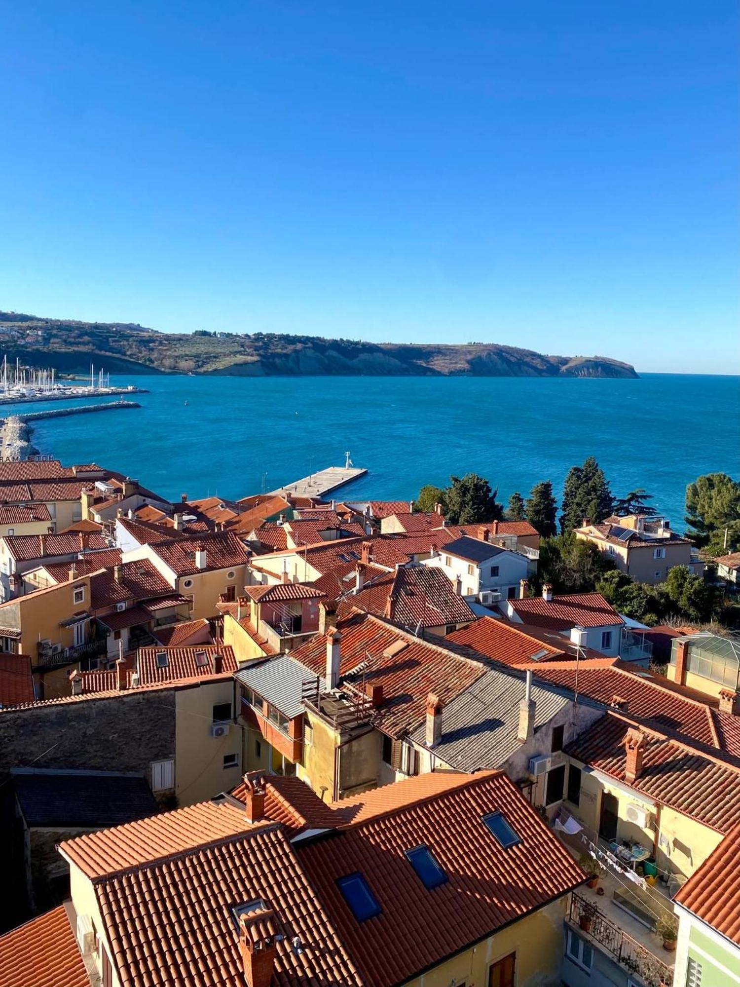 Apartma Rea Izola, Pergola & Terassa, Parking Habitación foto